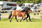 SBM_00451
