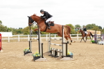SBM_017314