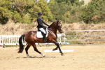 SBM_002559