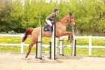 SBM_004956
