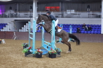 SBM_009187