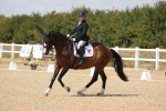 SBM_014654
