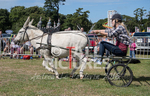 Donkey Derby_2016-24