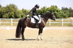 SBM_003649