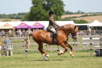 SBM_06931