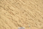 230720A-145932-03408