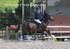 BPP_3246