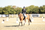 SBM_016971