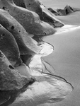 01-Mewslade