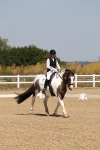 SBM_004162