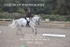 BPP_9832