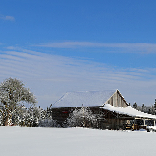 A vintage barn with an extented overhang sits pretty on an early winter's day.