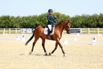 SBM_009822