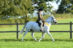 SBM_56398