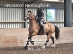 BPP_6471