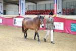 SBM_02313