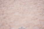 240505A-173614-07433