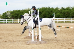 SBM_008077