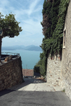 Albisano alley