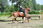 WJ5_2317