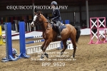 BPP_9529