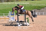 BPP_2037