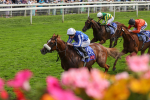 Race 1 1.50pm Sky Bet Handicap portfolio