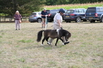 WJ6_7017