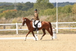 SBM_018799