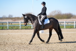 SBM_003305