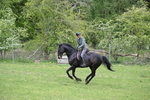 WJ6_3463