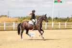 SBM_006613
