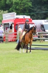 SBM_08619