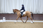 SBM_002356