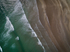 Bird In Flight (aerial)