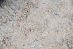 250613A-080330-00886