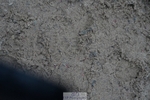 251207-111802-01811