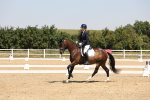SBM_004368
