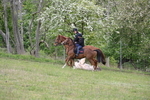 WJ6_2066