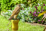 0628 IMG_6615