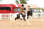 SBM_15648