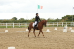 SBM_009606