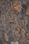 231105A-135432-01215