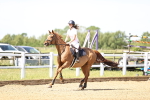 SBM_003697