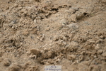 251004A-135800-01391