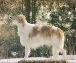 Mila in Spring 2018 2