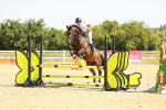 SBM_000533