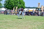 SBM_15301