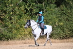 WJ6_6896