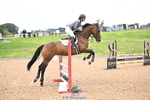 Cls 1 Snr British Novice and 90cm Open portfolio